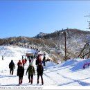 덕유산 Daum카페