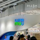 아이브 2차 럭드 위드뮤 홍대 (AK PLAZA) 포토카드 교환 후기