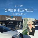 서부3길 | 애견 동반 여행객 필독! 평택호 휴게소 펫파크 후기ㅣ휴게소 애견놀이터