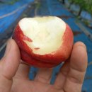 은혜농장 이미지