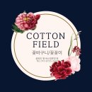 금빛태권도장 이미지