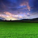 푸른초원 이미지