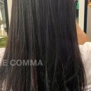 THECOMMA 이미지