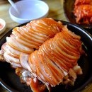 동원족발 티스토리