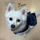 몽글몽글 이미지