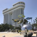 스카이베이경포호텔 이미지