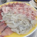 막썰어회도매센타 이미지