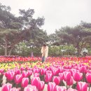신두리5초바다별장 이미지