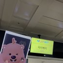 대만 타이베이 3박 5일 자유여행 1,2일차 _ 대만여행지원금 결과, 국광버스, 뷰티 호텔 타이베이 호텔...