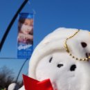 정우 | 정우 팬미팅 후기[부제-오빠 군대 가지마]