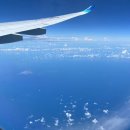 개미정산장식당 | (#2) 4박 5일 발리 여행 후기(우붓, 바투르산 지프투어, 짱구)