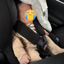 (주)태울코리아 | [내돈내산] 브라이텍스 듀얼픽스프로 카시트 (feat. 대구 카시트세탁)