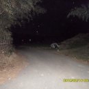 송암부화장 티스토리
