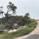 백경오토캠핑장 | [포항 오션뷰 캠핑장] '백경오토캠핑장' 2박 3일 친구 생일 캠핑 비바람 뚫고 다녀온후기