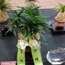 노은1동주민센터 이미지