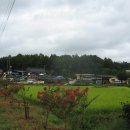 서달덕내과의원 이미지