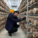 종혁농장 이미지