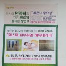 힐스템해독테라피센타 이미지