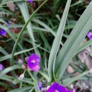 문학산 정상 이미지