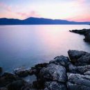 마늘닭갈비 이미지