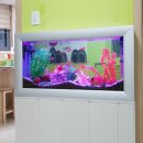 단비어린이집 이미지