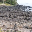 백록정궁도장 이미지