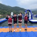 더혼 산하도장 이미지