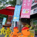 시선디자인