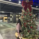 6994 | 대구 신세계 해목 히츠마부시 카이센동 솔직후기