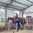 엘리트 승마스쿨 이미지