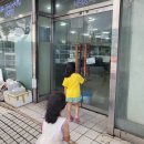 월드피시 이미지