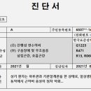 G1223 이미지