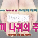 11-17 이미지