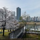 동탄호수공원 이미지