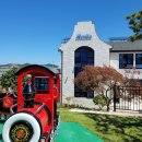 까멜리아 이미지