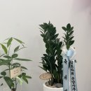 일광 명문유도관 이미지