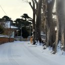 구림시장 이미지