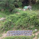 주촌농장 이미지