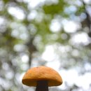 실버세상 이미지