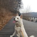 대표 뚱아저씨는 오늘 세종시 정부종합청사에서 있을 민간동물보호시설 3차 협의 미팅에 다녀옵니다. 이미지