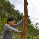 가림농장 이미지