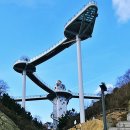 묵호항회집 이미지