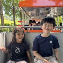 서울랜드 게임월드 | 서울랜드 할인 after 2시 오후권 눈치게임 성공 후기