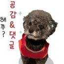 돈돈의맛 이미지