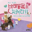 시청마트 이미지