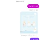 3박 4일 제주도 한 바퀴 2일차 | 동쪽~남쪽, 오브젝트 제주, 태웃개, 롤롤, 서귀포올레시장, 섬스튜디오