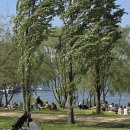 그늘막113 이미지