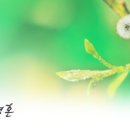 사랑의 창조 이미지