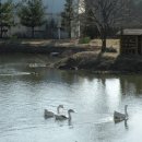 일영랜드 이미지