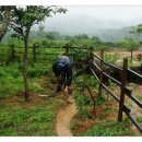 바쁜하루 이미지